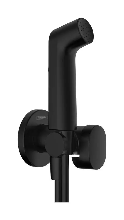 Schwarze Handbrause mit einem Strahl und Halterung, montiert an der Wand. Die Armatur gehört zur Marke Hansgrohe und ist für Kaltwasser geeignet.